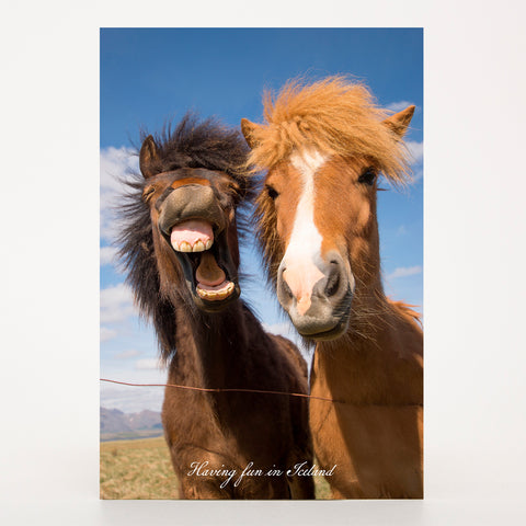 Picture Postcard - Friends having fun in Iceland