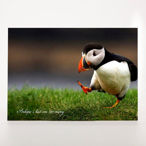 Picture Postcard - Perhaps I Had One Too Many..